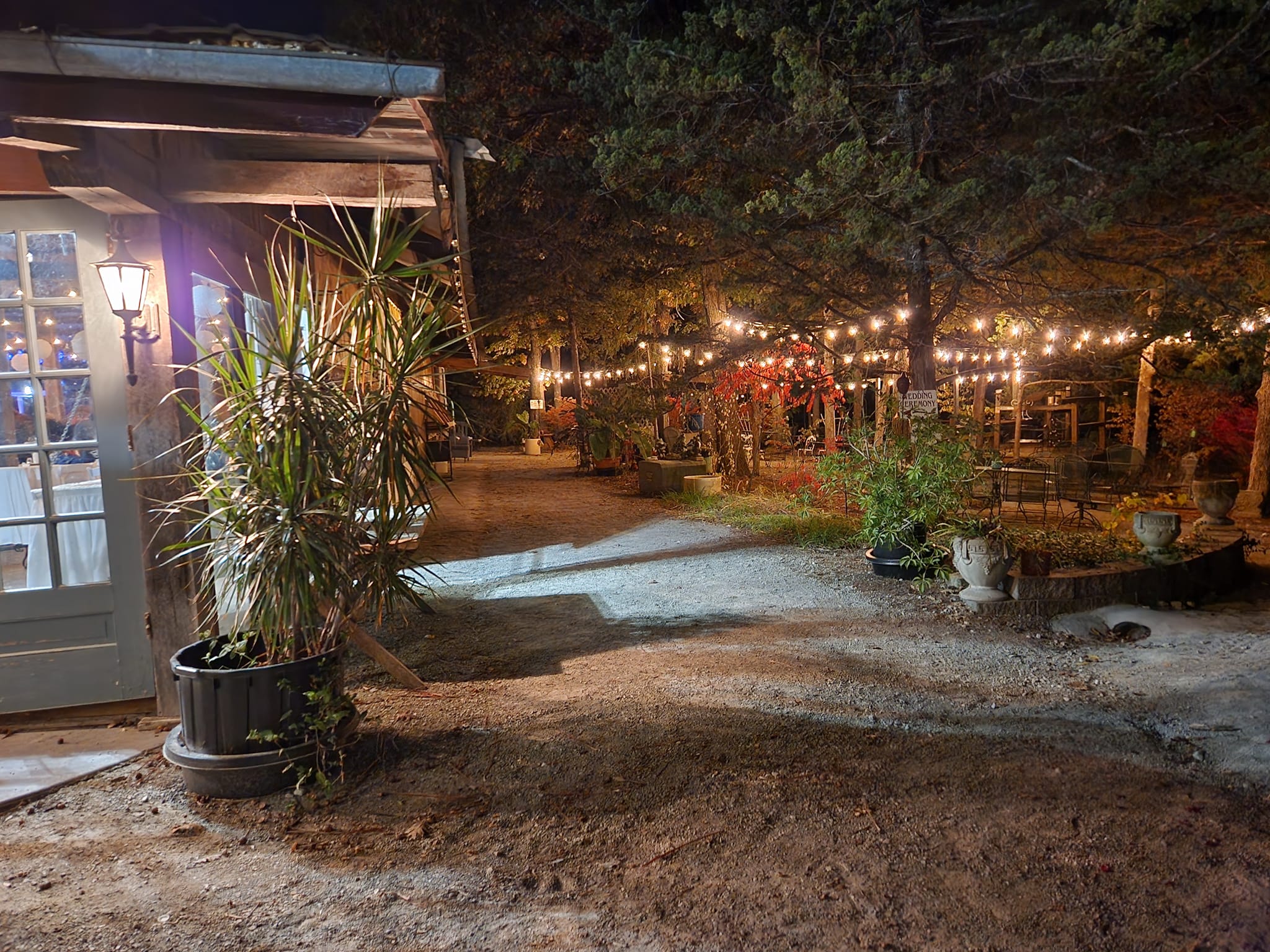 twinkle lights hanging from trees in garden venue